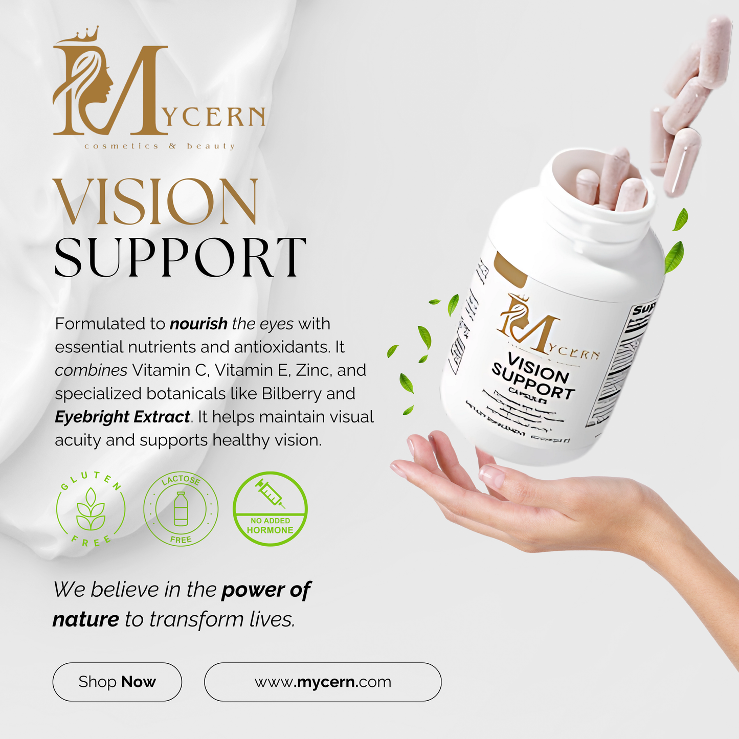 MyCern Vision Support