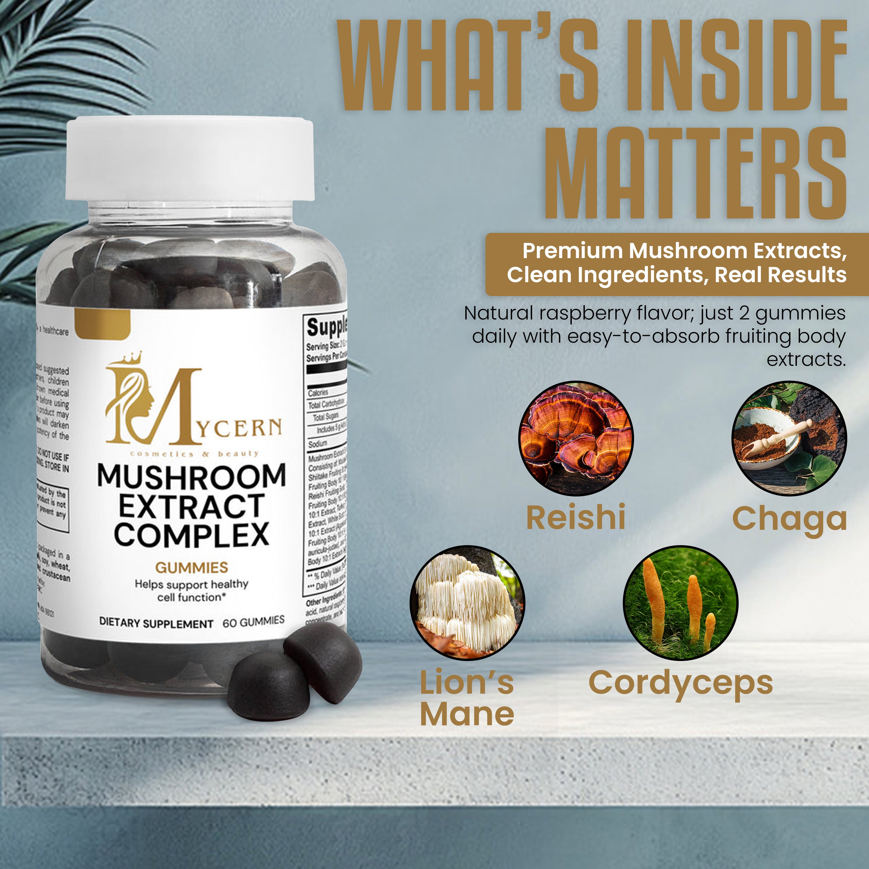 MyCern Mushroom Extract Complex