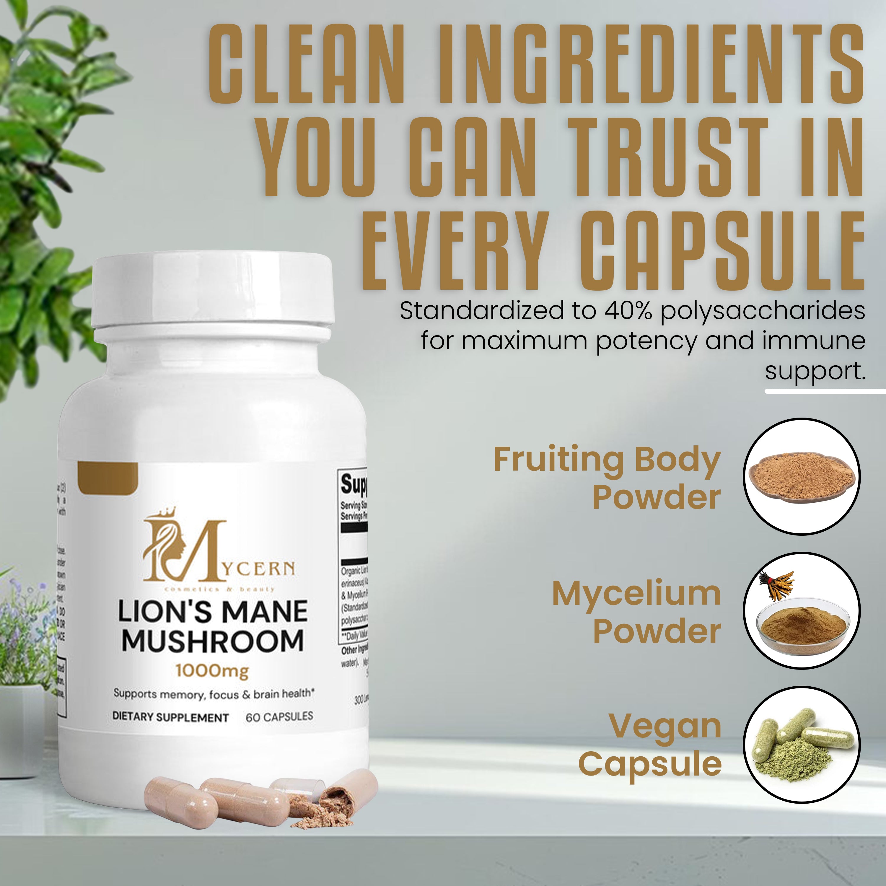 MyCern Lion's Mane Mushroom