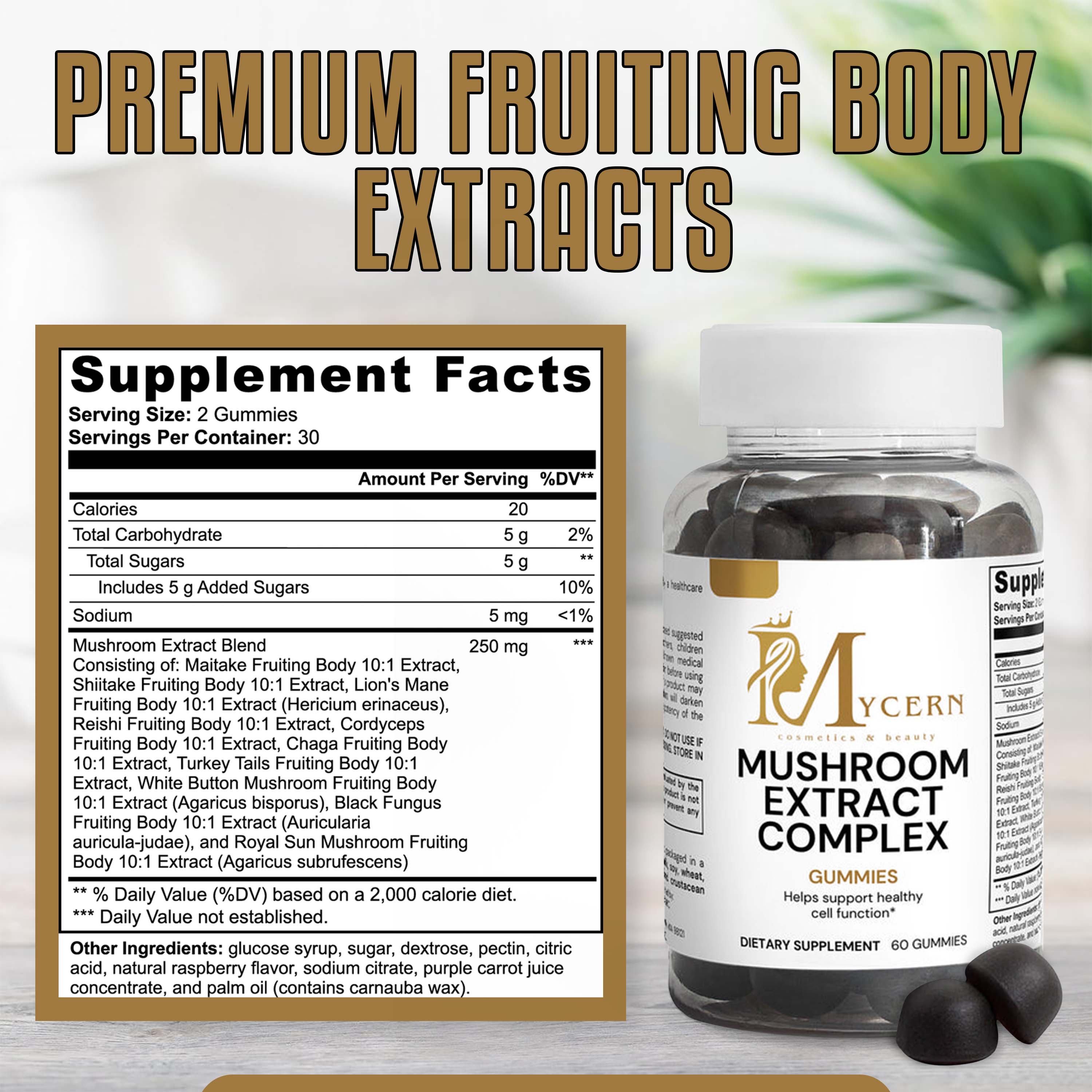 MyCern Mushroom Extract Complex